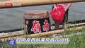大运河将迎来龙舟漂移表演