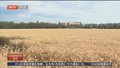 《都市晚高峰》20250611