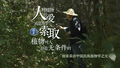 医者｜民族植物学之父：人对植物的爱或是为索取 植物对人却是无条件