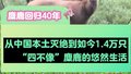 早睡早起白天爱睡觉的麋鹿