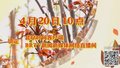 平谷峪口第十一届香椿文化季盛大开启 4月20日10点锁定北京时间客户端