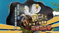 医者｜足不出户 让我们带你千里奔袭 这一站 广东阳春找砂仁