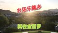 郊野乡村，这家农场乐趣多多！