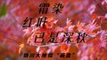 霜染红叶已是深秋 妫川大地似“画盘”
