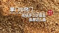 传统手工芝麻盐就是这么香