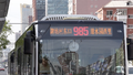 “坐上985路 奔向985大学” 学生：我不仅想坐985 还想坐211
