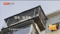 顶楼养鸽子楼下遭了殃 居民直呼“脏乱差”