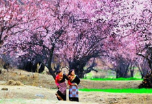 西藏林芝：去西藏邂逅桃花源