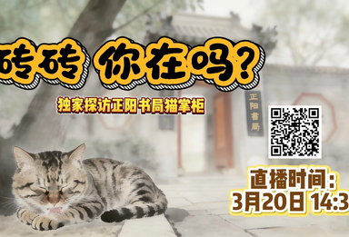 砖砖你在吗？独家直播探访正阳书局猫掌柜