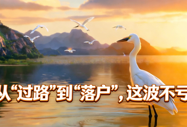 从“过路”到“落户”，这波不亏！