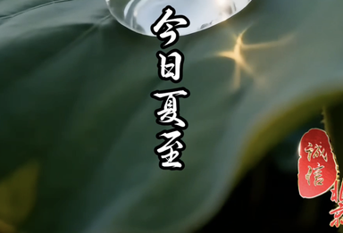 今日夏至，盛夏启幕｜诚至金石开，心静自然凉