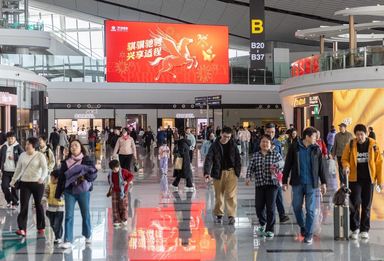 年味浓郁 年货充足  大兴机场为旅客回家过年提供惊喜体验