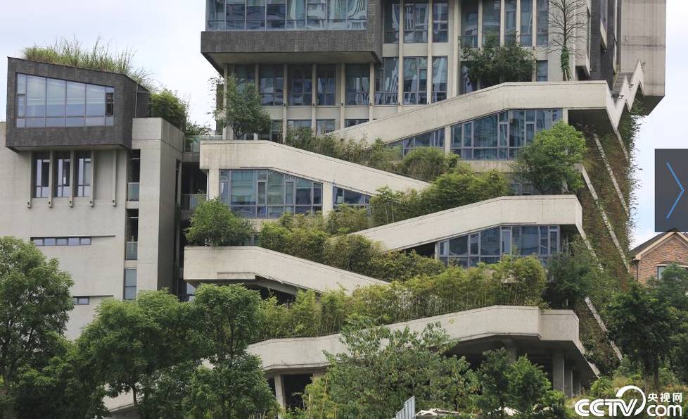 水泥森林中的空中花园 重庆建筑再走红