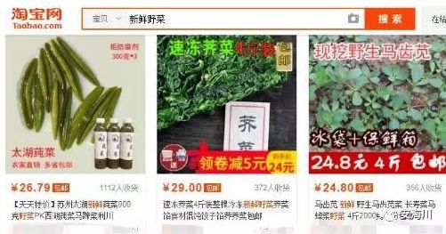 捞偏门项目:利用淘宝卖农村的野菜,月收入过万