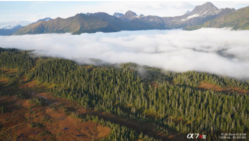 索尼全画幅微单A7RM3 由内而外焕然一新的全