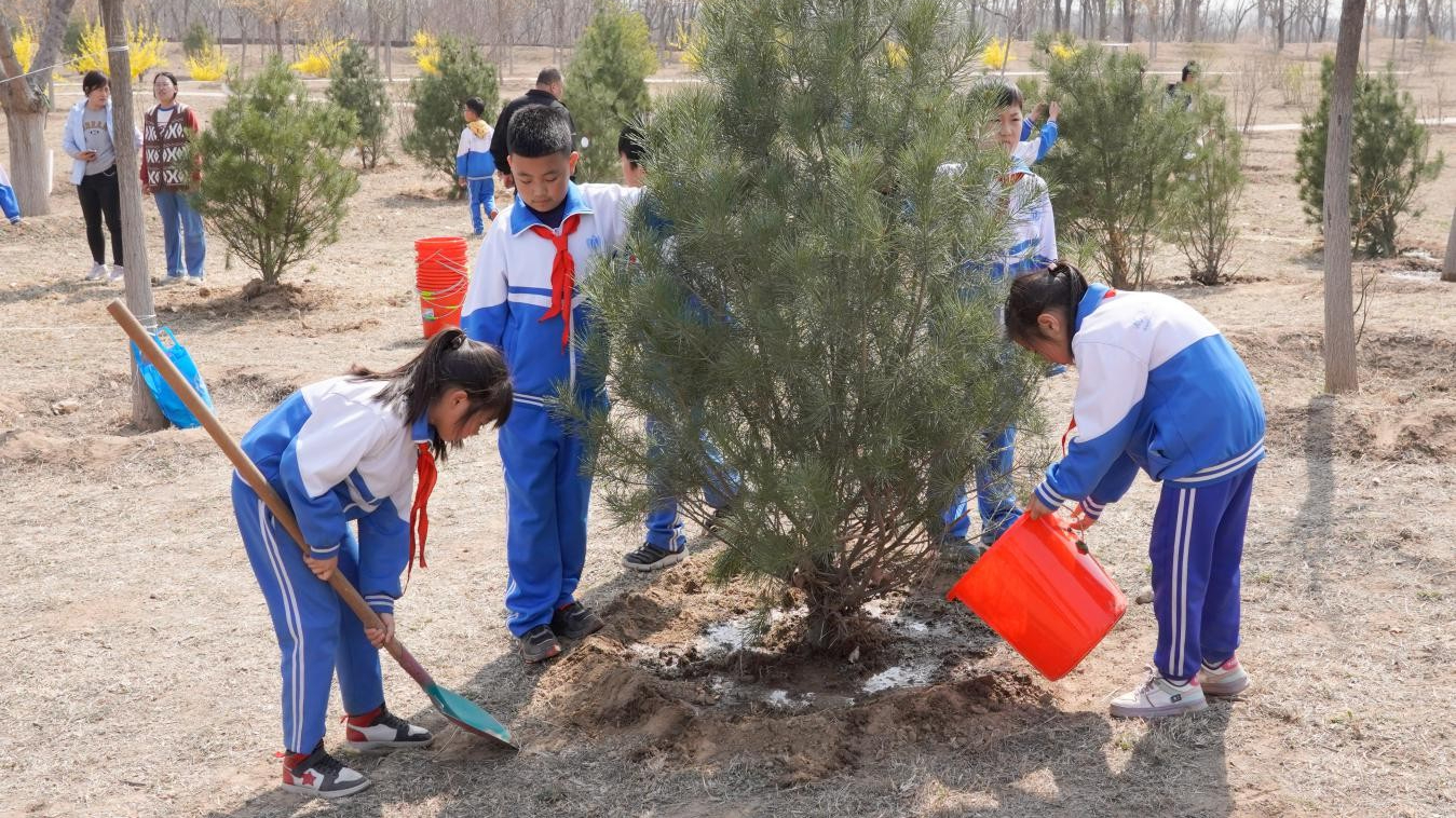 大兴区魏善庄镇开展“携手植树，绿意传承”森林大课堂活动