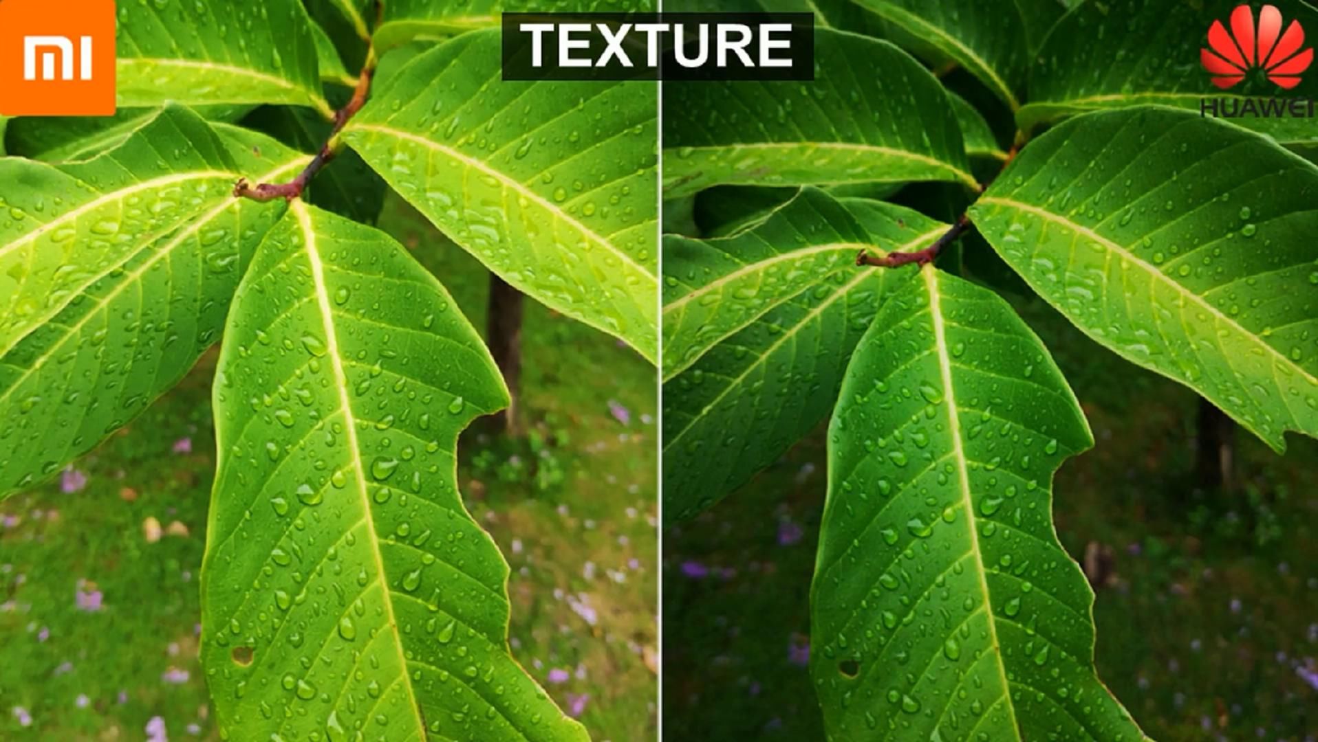 自动模式下拍照细节对比:小米8和华为P20Pro