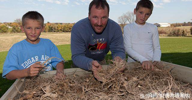 这回是美国西洋参!中国海关回国带这样东西将