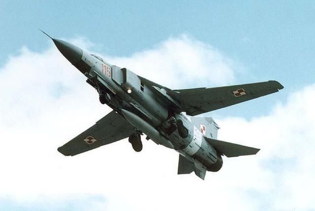 6月26日,美国中东防务观察网站爆料,25日白天,叙利亚反对派武装于德拉