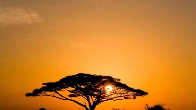 重庆、贵州、湖南正在修建一条铁路,于2020年