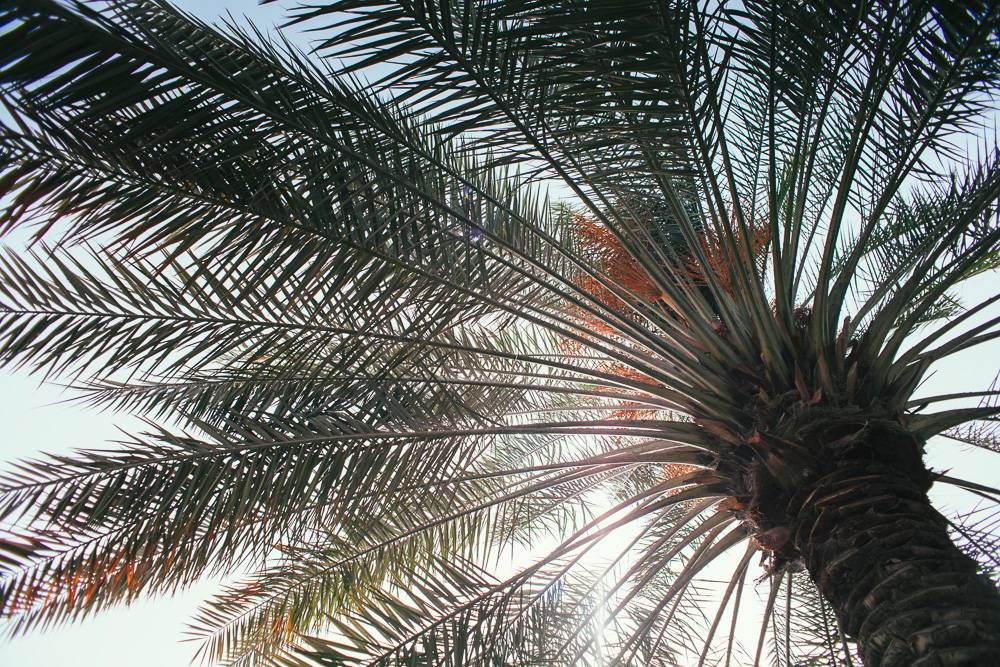 果断收藏!2018最新免签落地签大汇总,部分国家