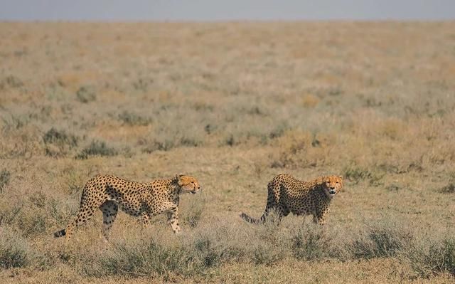 非洲最安全的国家,去往浴火重生的卢旺达,来一