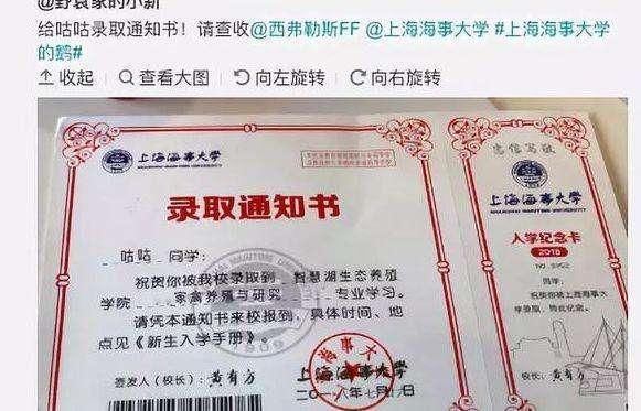 上海海事大学录取了一只鹅,还发了录取通知书