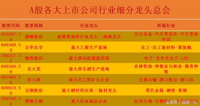 独家:A股各大上市公司行业细分龙头总会