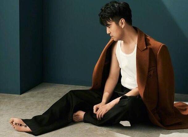 欲代替林更新?雷佳音神p图自称九亿少女少男的梦