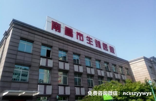 孕期叶酸补充过多或过少都易导致胎儿畸形,该