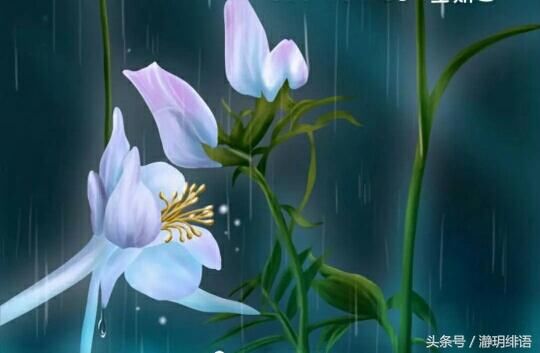 农村婆婆比城里婆婆更爱挑事儿,更爱摆架子,更