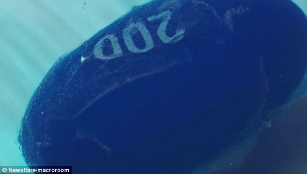 最后被放入水中的是一片蓝色药丸。可以看到其外层薄膜最先被水体融化消除。