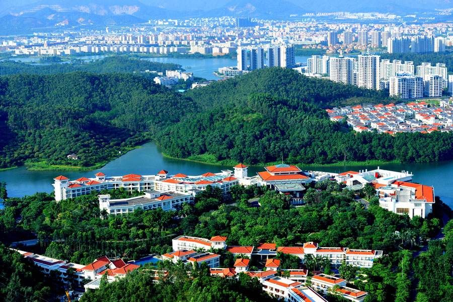 粤港澳大湾区来临,临深的塘厦,清溪,凤岗,大亚湾