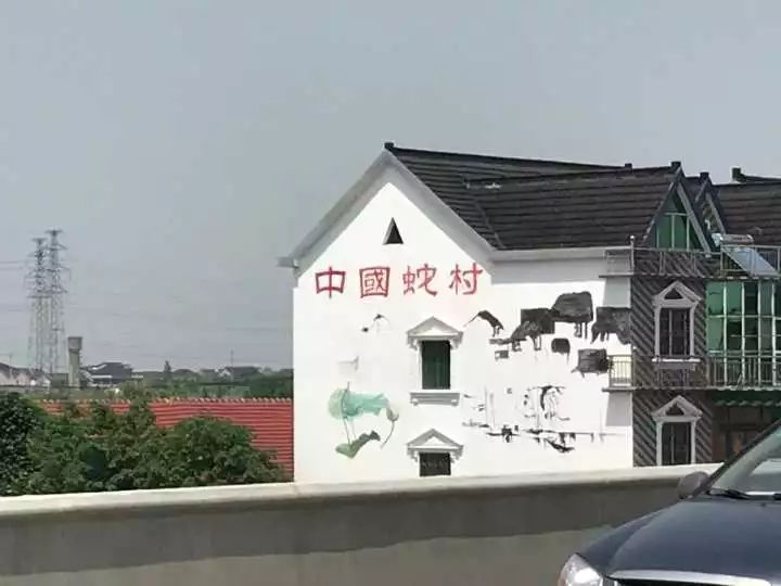 “中国第一蛇村”就在浙江！几百人养300万条蛇，一天被咬上百口