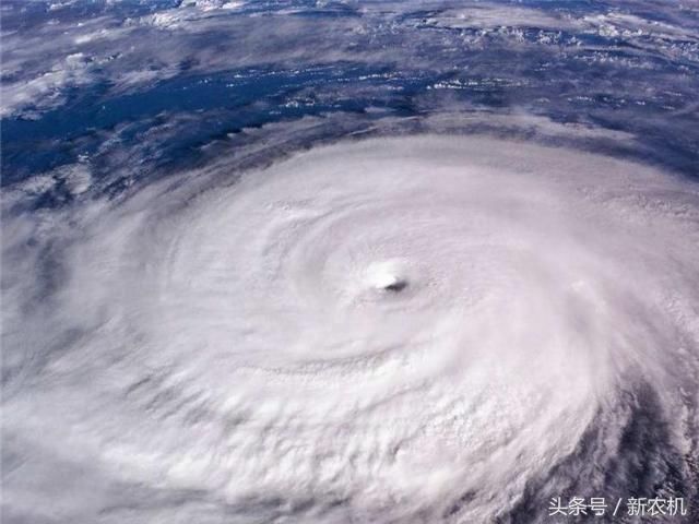 揭秘!你知道台风的名字是咋来的吗?