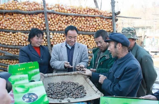 发展农业合作社,携手建设新农村