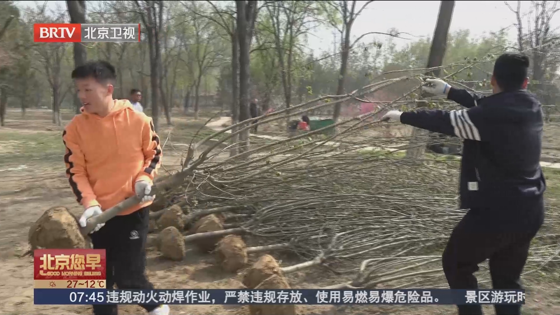 北京迎来第40个首都义务植树日 129万市民植树播绿美化家园