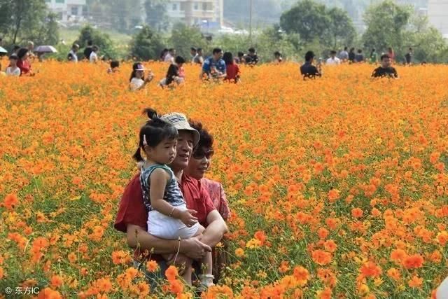 马云:预测未来3大行业适合创业?