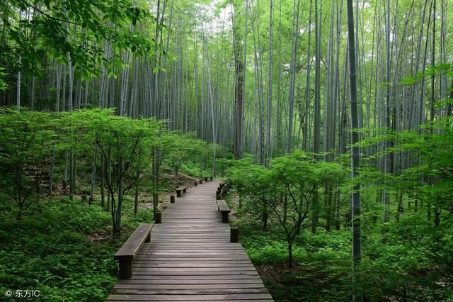 银行存款利息竟然涨了这么多!还要不要把钱存