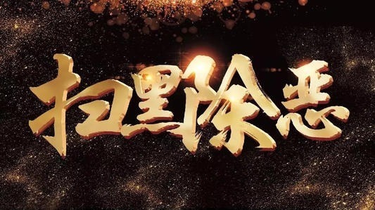 坚持“三个聚焦”发挥“三个作用” 推动扫黑除恶专项斗争向纵深发展