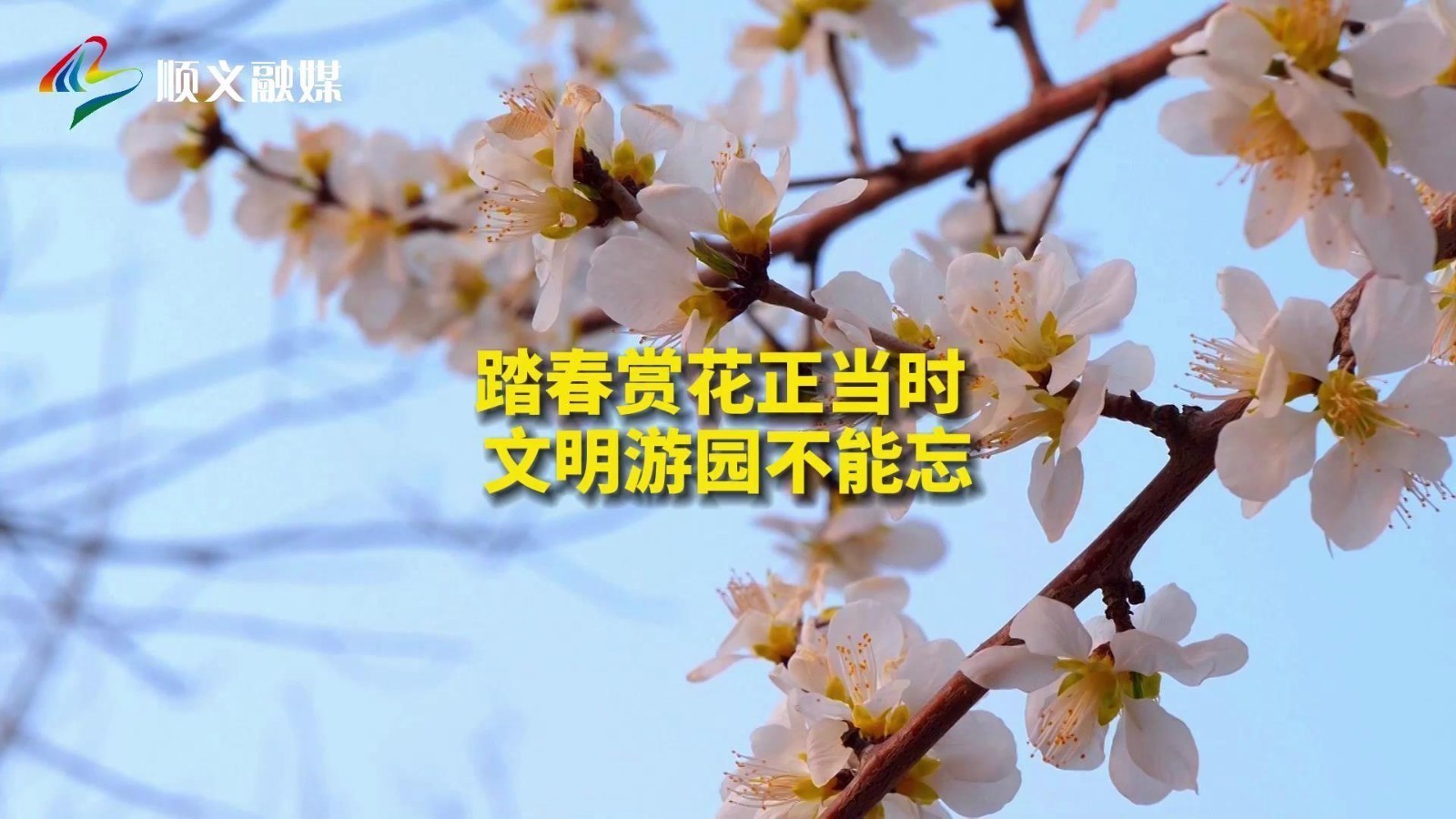 踏春赏花正当时，文明游园不能忘