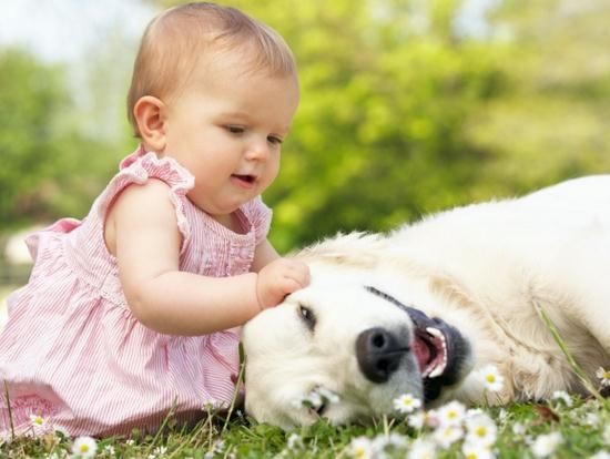 2018属狗的宝宝几月出生最好