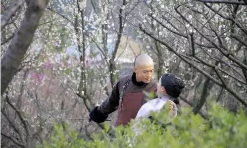 胡歌、杨幂、井柏然都曾在杭州取景拍电视剧,