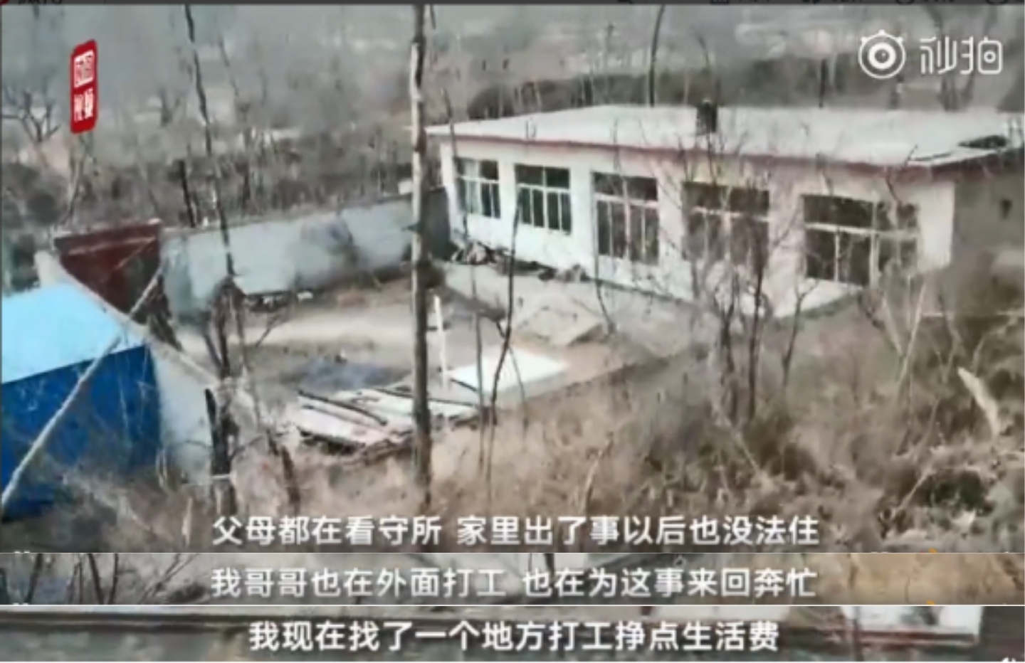 检方启动审查保定反杀案 案件细节:其母用刀几