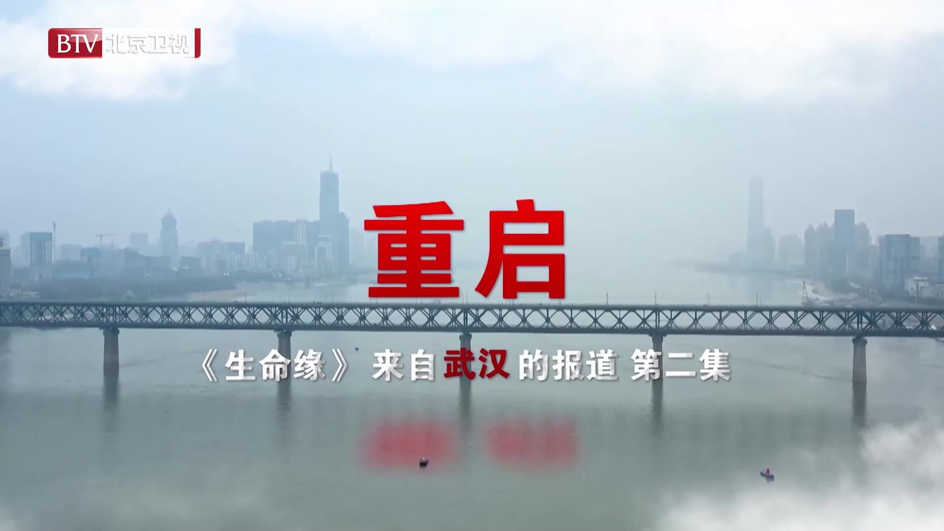 《生命缘》来自武汉的报道(二)重启 《生命缘》来自武汉的报道(二)重启