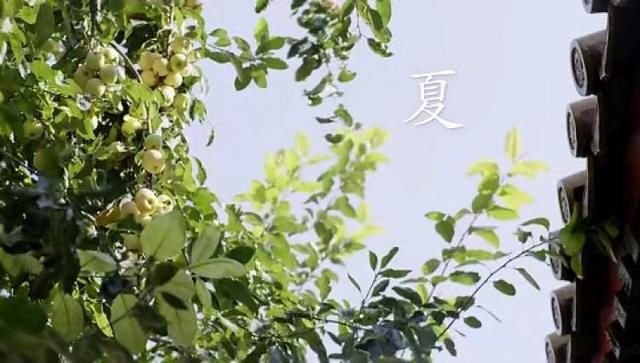 故宫真的有秘密地道!但和你想的不一样|故宫