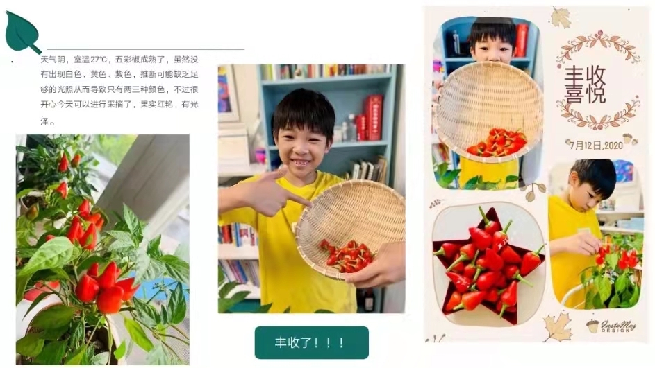 2022年北京市中小学生植物栽培大赛启动