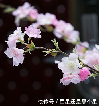 3生肖8月中旬起横财连连发,不知不觉赚得钞票