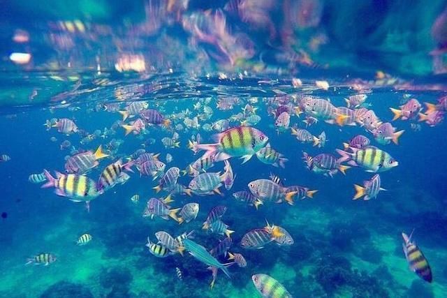 普吉岛有什么好玩的?泰国这个地方你去了解过