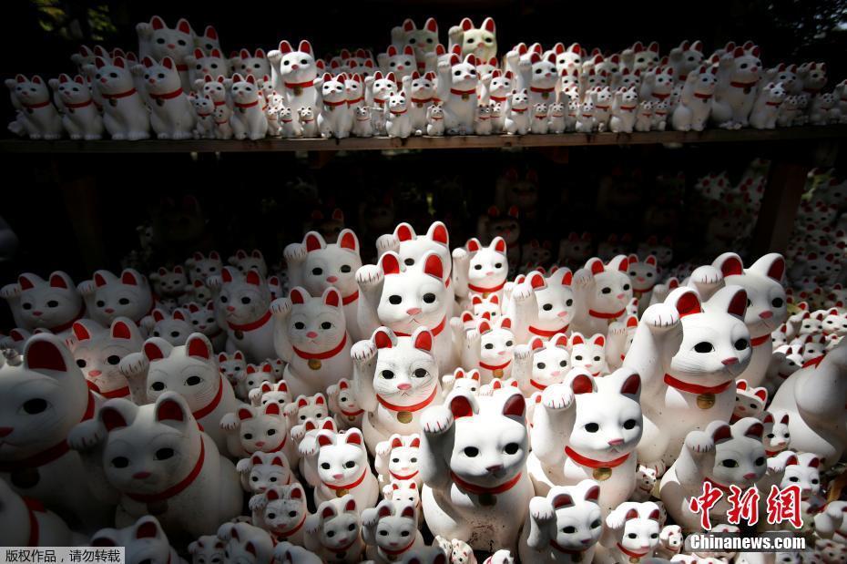 当地时间2017年8月23日，日本东京，Gotokuji寺庙被大大小小的招财猫“占领”。“招财猫”是日本传统文化中常见的猫型偶像摆设，被视为一种招财招福的吉祥物。